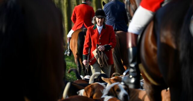Chasse à courre : pourquoi cette battue dans une forêt de lʼOise déclenche une pétition à 20 000 signatures