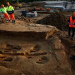 Des empreintes de dinosaures découvertes par hasard sur le chantier dʼun lotissement près de Montauban