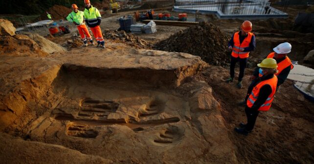 Des empreintes de dinosaures découvertes par hasard sur le chantier dʼun lotissement près de Montauban