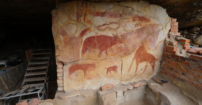 Des peintures rupestres vieilles de 15 000 ans découvertes derrière un mur dans une grotte de lʼArdèche