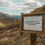 Le bouquetin des Pyrénées a disparu en 2000 quand le tout dernier individu a été retrouvé sans vie