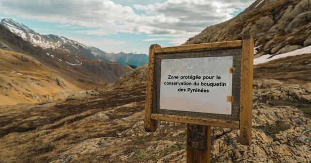 Le bouquetin des Pyrénées a disparu en 2000 quand le tout dernier individu a été retrouvé sans vie