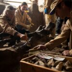 Une espèce de dinosaure carnivore encore inconnue identifiée à partir dʼossements trouvés en Charente