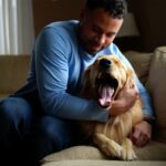 Votre chien bâille quand vous le câlinez : ce nʼest pas de la fatigue mais un message quʼil vous envoie