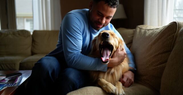 Votre chien bâille quand vous le câlinez : ce nʼest pas de la fatigue mais un message quʼil vous envoie