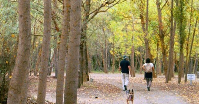 ANSAR pide reforzar la Unidad Verde de Zaragoza para mejorar la conservación de la biodiversidad municipal.