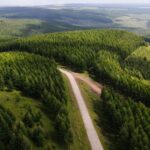En 1962, la Chine a envoyé 369 jeunes forestiers planter des arbres dans un désert qui menaçait Pékin de tempêtes de sable : 60 ans et trois générations plus tard, ils ont créé la plus grande forêt artificielle du monde avec 93 000 hectares et ont réduit les tempêtes de 70 %