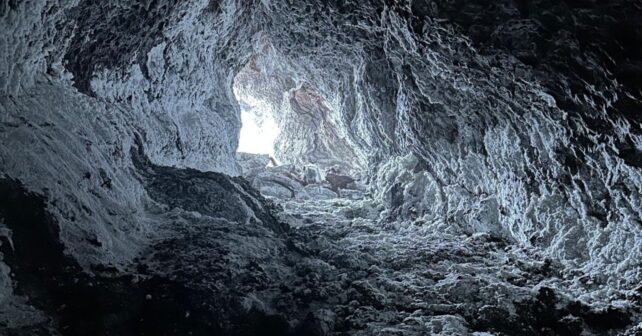 Hace 5 años el volcán de La palma escupió toneladas de lava, hoy los científicos han descubierto que ha creado un mundo subterráneo con microorganismos capaces de sobrevivir donde nada más puede hacerlo