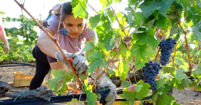 Día Mundial del Desarrollo Rural 2026 en una comunidad agrícola sostenible