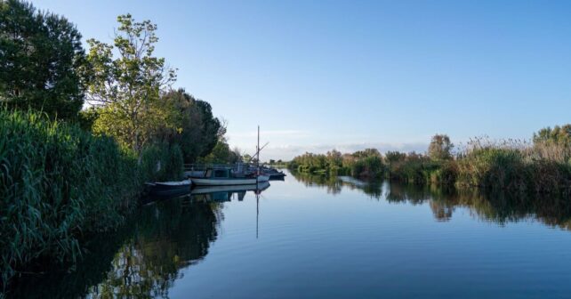 L’Albufera de València da un paso decisivo para ser Reserva de la Biosfera de la Unesco