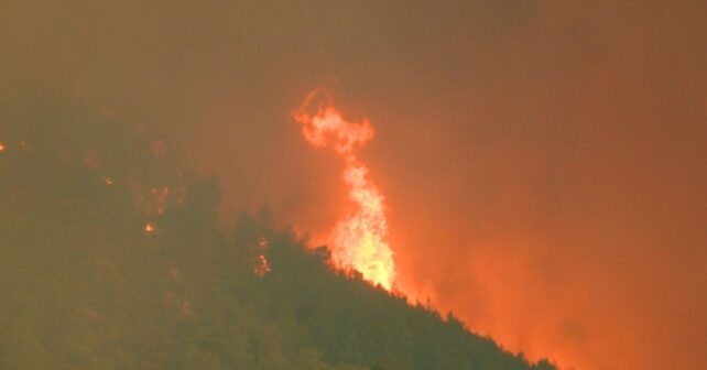 España sufrirá incendios forestales más virulentos si no cambia la gestión de sus bosques, alerta un informe