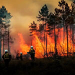 L'Europe accélère son plan contre les incendies après un début de saison sans précédent en raison de chaleurs extrêmes