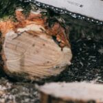 L'Union européenne active la loi contre la déforestation avec de nouvelles obligations pour les entreprises