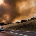 L'incendie d'Ávila dévaste la réserve naturelle de la vallée d'Iruelas, refuge du vautour noir