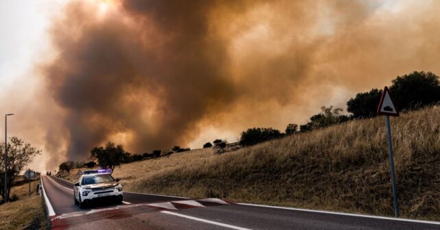 El incendio de Ávila arrasa la Reserva Natural del Valle de Iruelas, refugio del buitre negro