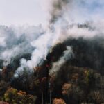 L'incendie dans la Sierra de Alcubierre menace les oiseaux forestiers protégés et leur habitat