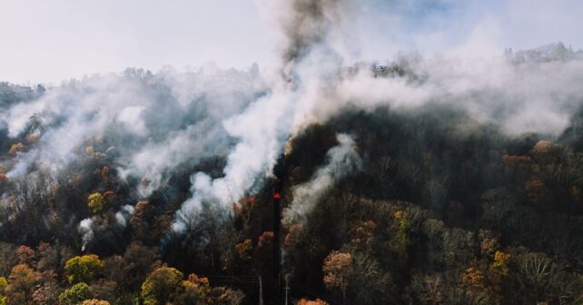 Incendio en la Sierra de Alcubierre amenaza a las aves forestales protegidas
