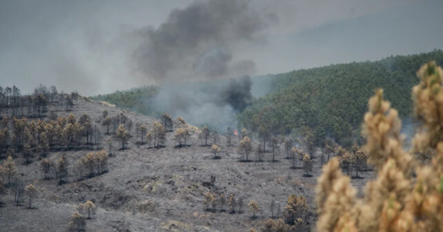 El incendio de La Mierla exige medios contra los incendios de sexta generación tras arrasar 29.000 hectáreas