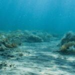L’Union européenne fait face à de nouvelles pressions pour interdire l’exploitation minière en haute mer en raison de son impact environnemental