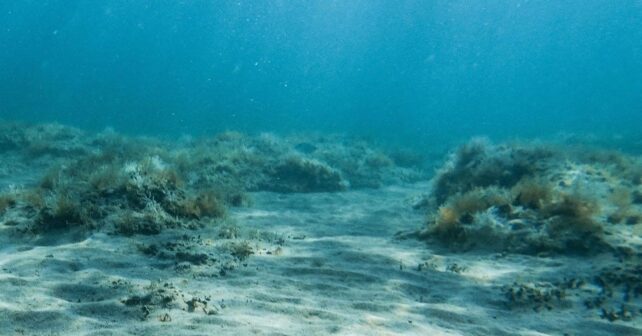 La Unión Europea afronta nuevas presiones para prohibir la minería en aguas profundas