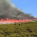 La Catalogne exige des plans de gestion forestière pour arrêter les grands incendies et protéger les forêts