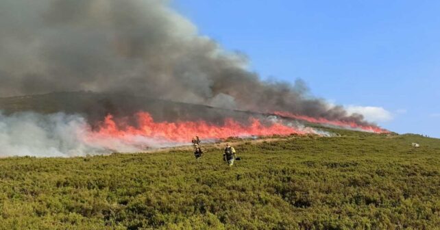 Cataluña exige planes de gestión forestal para frenar los grandes incendios y proteger los bosques