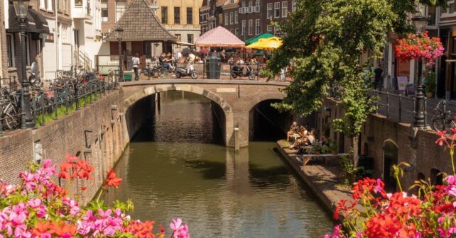 El timbre para peces de Utrecht conquista al mundo con 12 millones de visitas en internet
