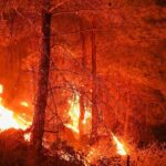 La nouvelle génération d'incendies de forêt en Espagne laisse de nouvelles sources tandis que la surveillance se poursuit à Almería