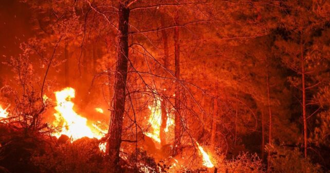 La nueva generación de incendios forestales en España deja nuevos focos mientras continúa la vigilancia en Almería