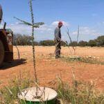 Le Maroc plante des arbres dans le désert avec un dispositif qui capte la rosée nocturne et l'humidité de l'air pour les arroser sans avoir besoin de pluie : 95 % des arbres survivent et ils ont déjà récupéré 1 200 hectares