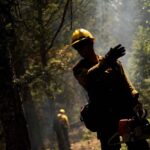 Les canulars sur les incendies de forêt rendent la prévention et la gestion difficiles et accroissent la polarisation