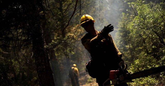 Los bulos sobre los incendios forestales dificultan la prevención y la gestión