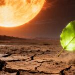 Les experts sont stupéfaits : un nouveau modèle prédit qu’il restera 1,9 milliard d’années avant que la dernière plante de la planète ne disparaisse.