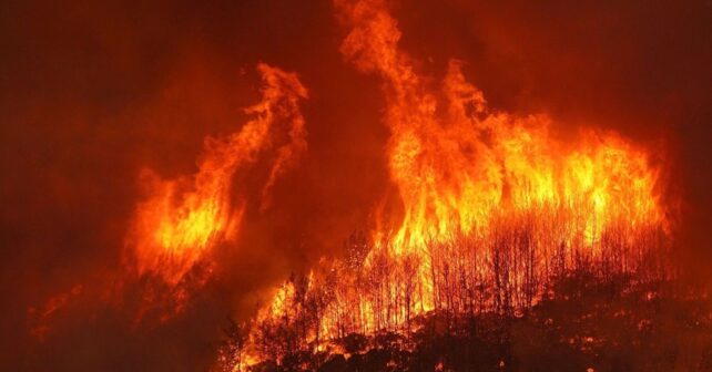 Los incendios activos hoy en España ponen al país en alerta máxima por la ola de calor
