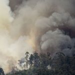 Les incendies de forêt détruisent plus de 46 700 hectares en Espagne jusqu'à présent en 2026