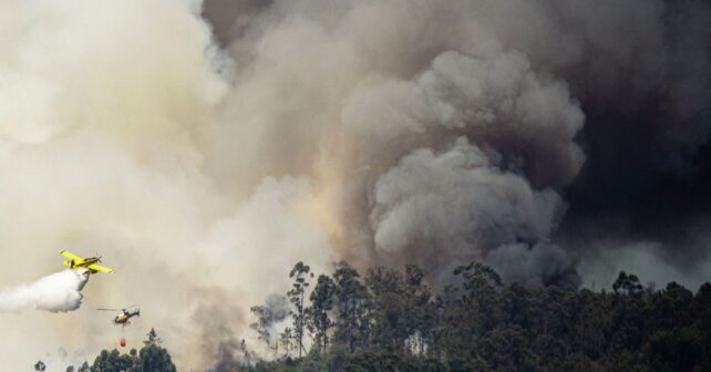 Los incendios forestales arrasan más de 46.700 hectáreas en España