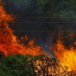Les incendies de forêt maintiennent l’Espagne en état d’alerte ce 29 juillet 2026