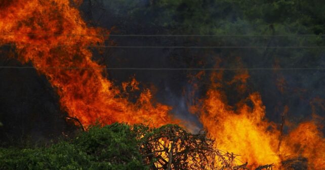 Los incendios forestales mantienen a España en máxima alerta este 29 de julio de 2026