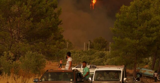 Los incendios ya no se pueden combatir como antes y Los Gallardos demuestra por qué hay que cambiar la estrategia