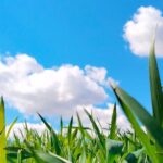 Météo en Espagne aujourd'hui, vendredi 3 juillet, avec une chaleur pouvant atteindre 41 degrés