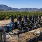 Murcie transforme ses tuyaux d'irrigation en un système d'alerte intelligent pour arrêter les moules zébrées avant que leurs filaments ne détruisent les champs irrigués
