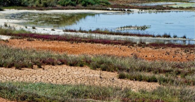 Doñana Patrimonio Mundial en Peligro: el acuífero, Aznalcóllar y el cambio climático agravan la situación