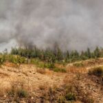 Plus de 90 % des incendies de forêt en Espagne sont d'origine humaine