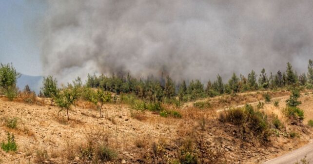 Más del 90 % de los incendios forestales en España tienen origen humano