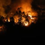 Que faire en cas d'incendie de forêt près de chez soi : recommandations des secours