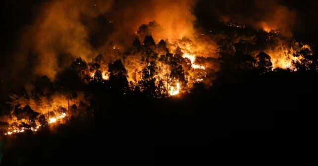 Qué hacer si hay un incendio forestal cerca de casa: las recomendaciones de los servicios de emergencia