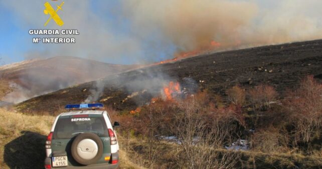 El Seprona recorre 11.000 kilómetros para prevenir incendios forestales en Valencia
