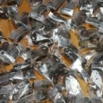 Un homme traqué à l'aéroport du Cap avec 150 scorpions venimeux vivants cachés dans sa valise