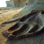 Des empreintes de dinosaures géants mises au jour par lʼérosion sur une falaise du littoral