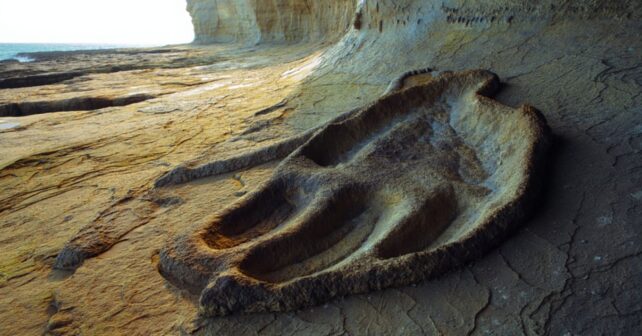 Des empreintes de dinosaures géants mises au jour par lʼérosion sur une falaise du littoral